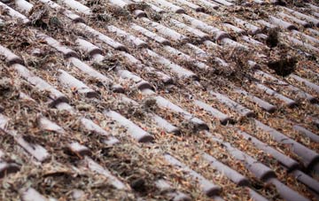 Gibraltar roof cleaning companies