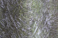 Gibraltar fibreglass roof work